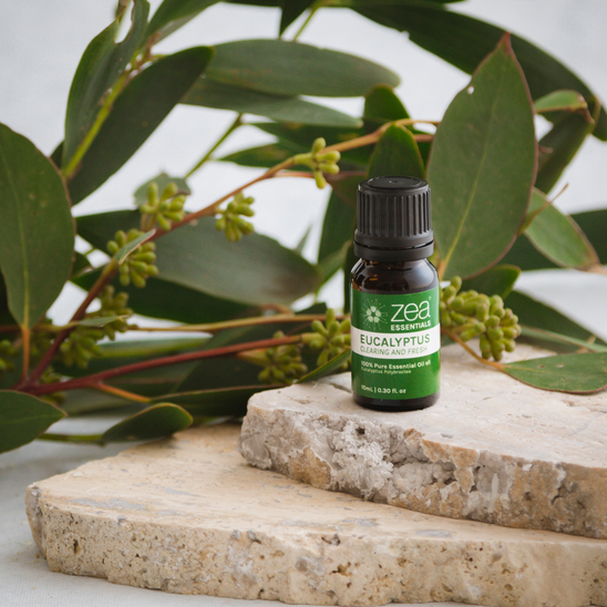 Eucalyptus Essential Oil