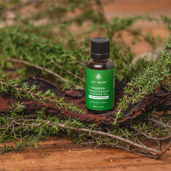 Kunzea Concentrated Massage Oil