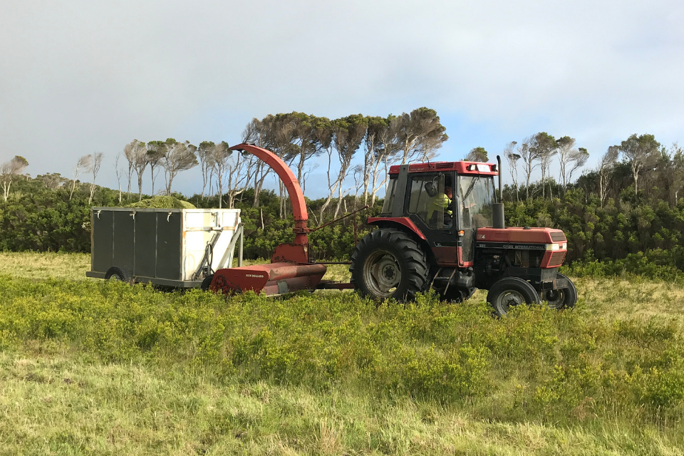 Exploring Flinders Island and its growing essential oil industry